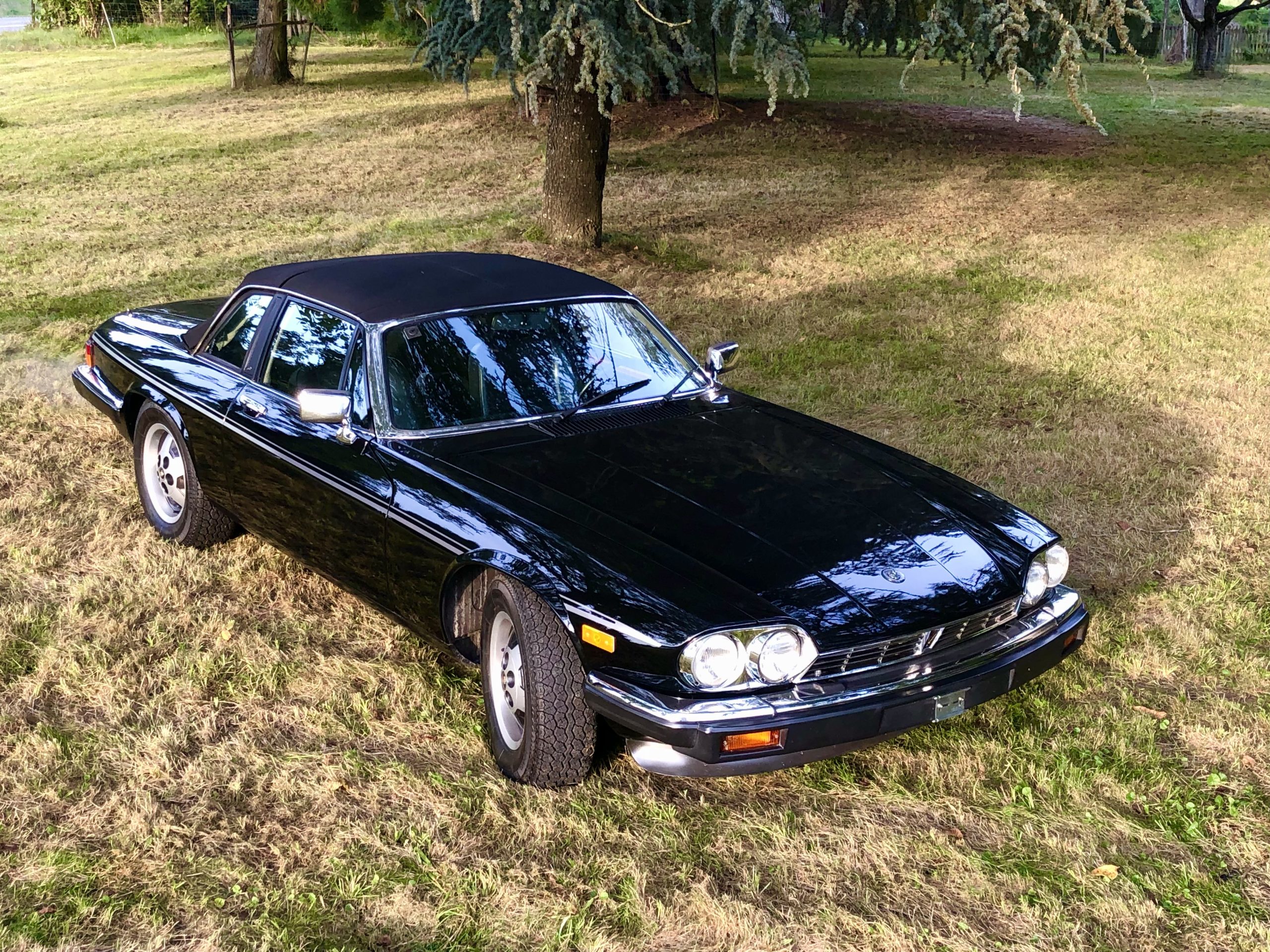 XJ-SC,1985 – Bild 2