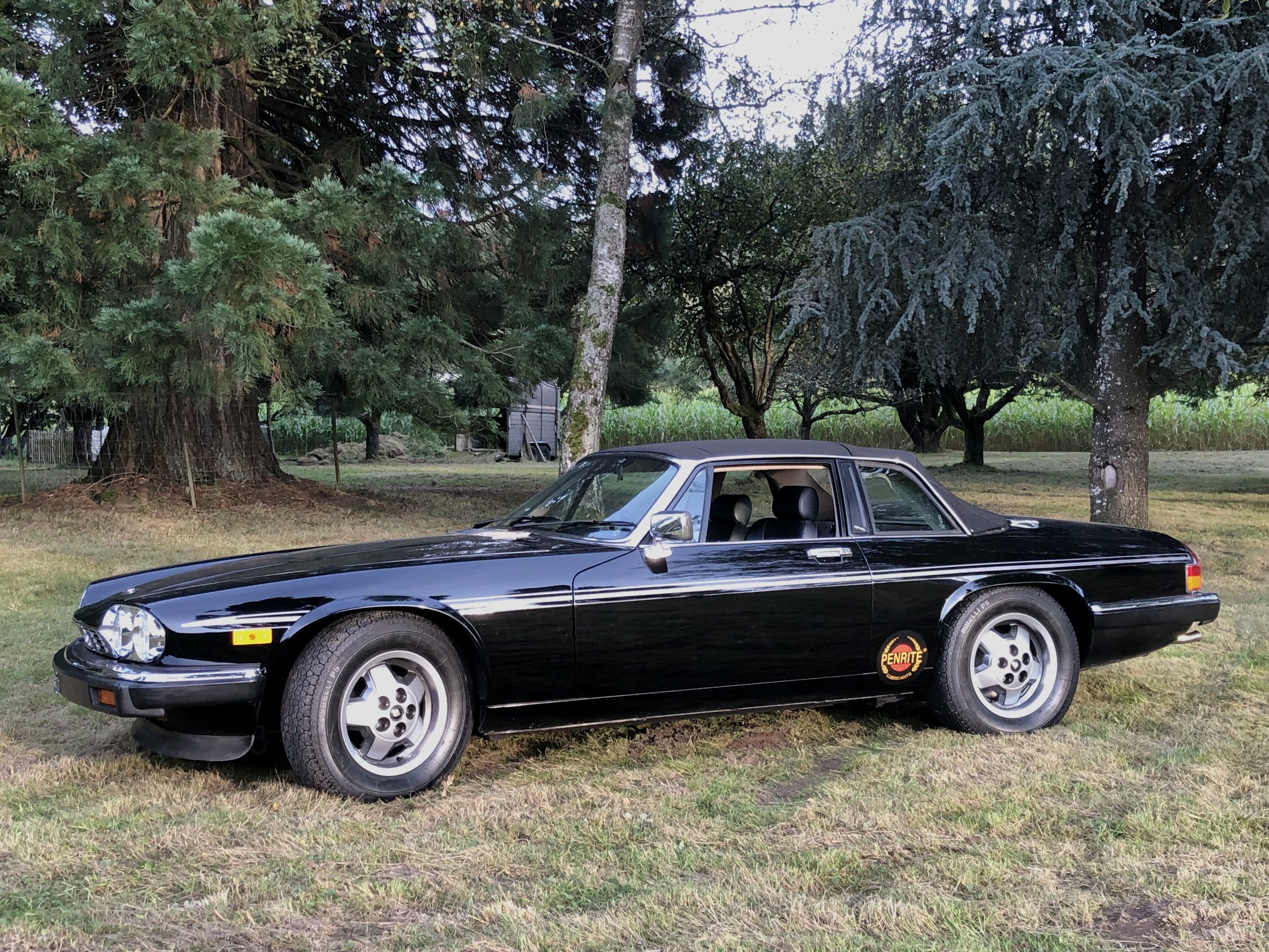 XJ-SC,1985 – Bild 5