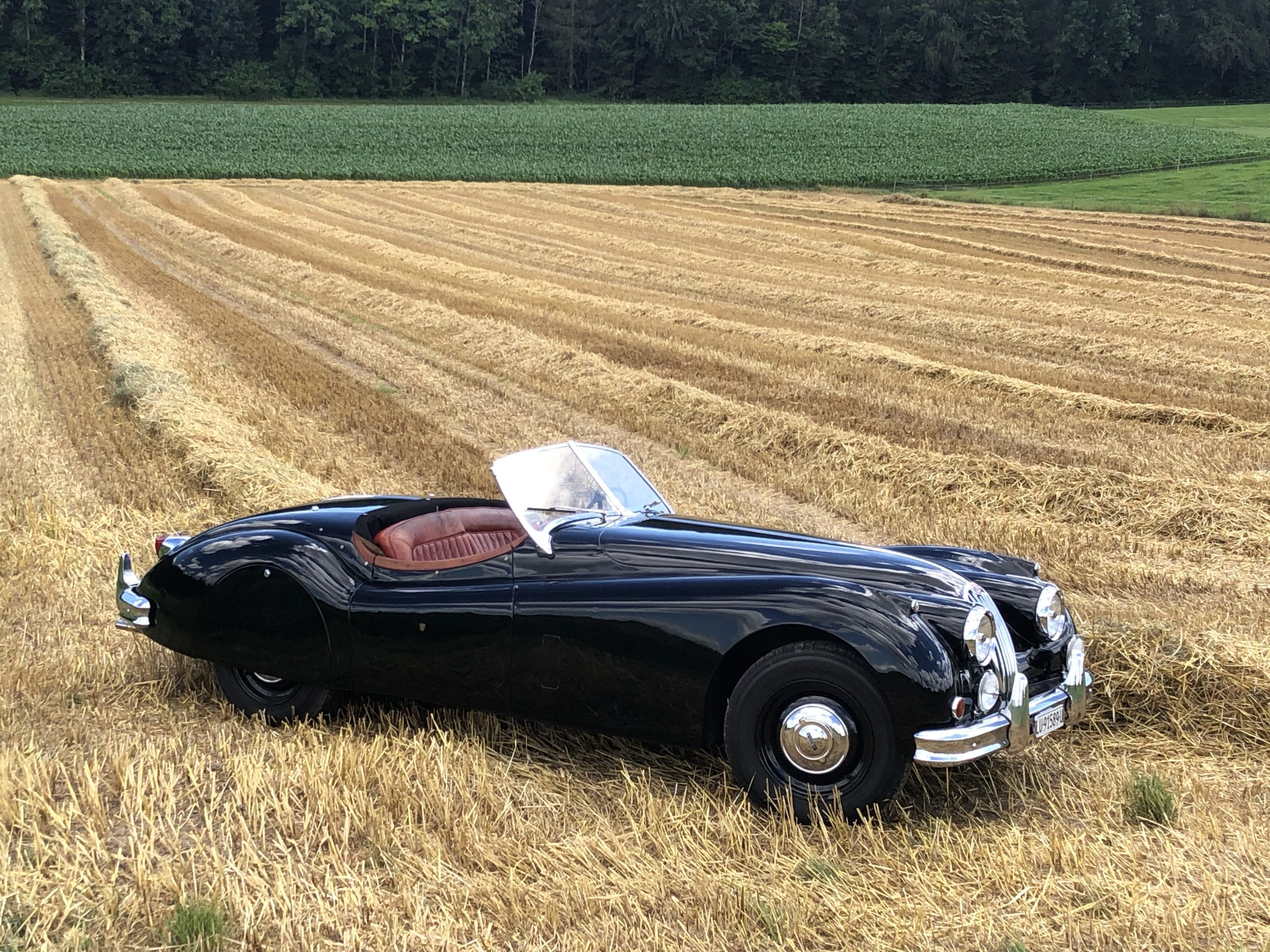 XK140 OTS,1955