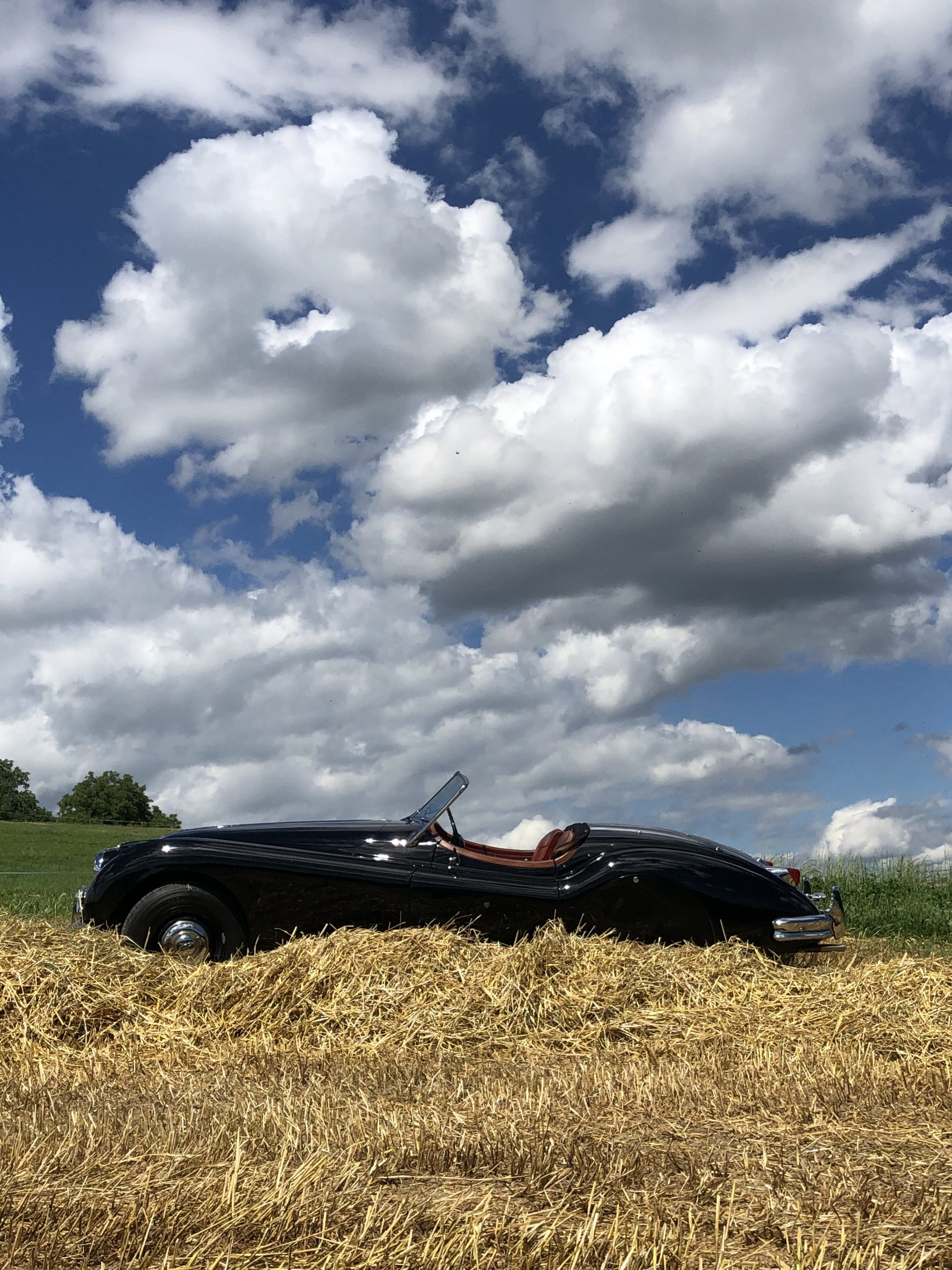 XK140 OTS,1955 – Bild 5