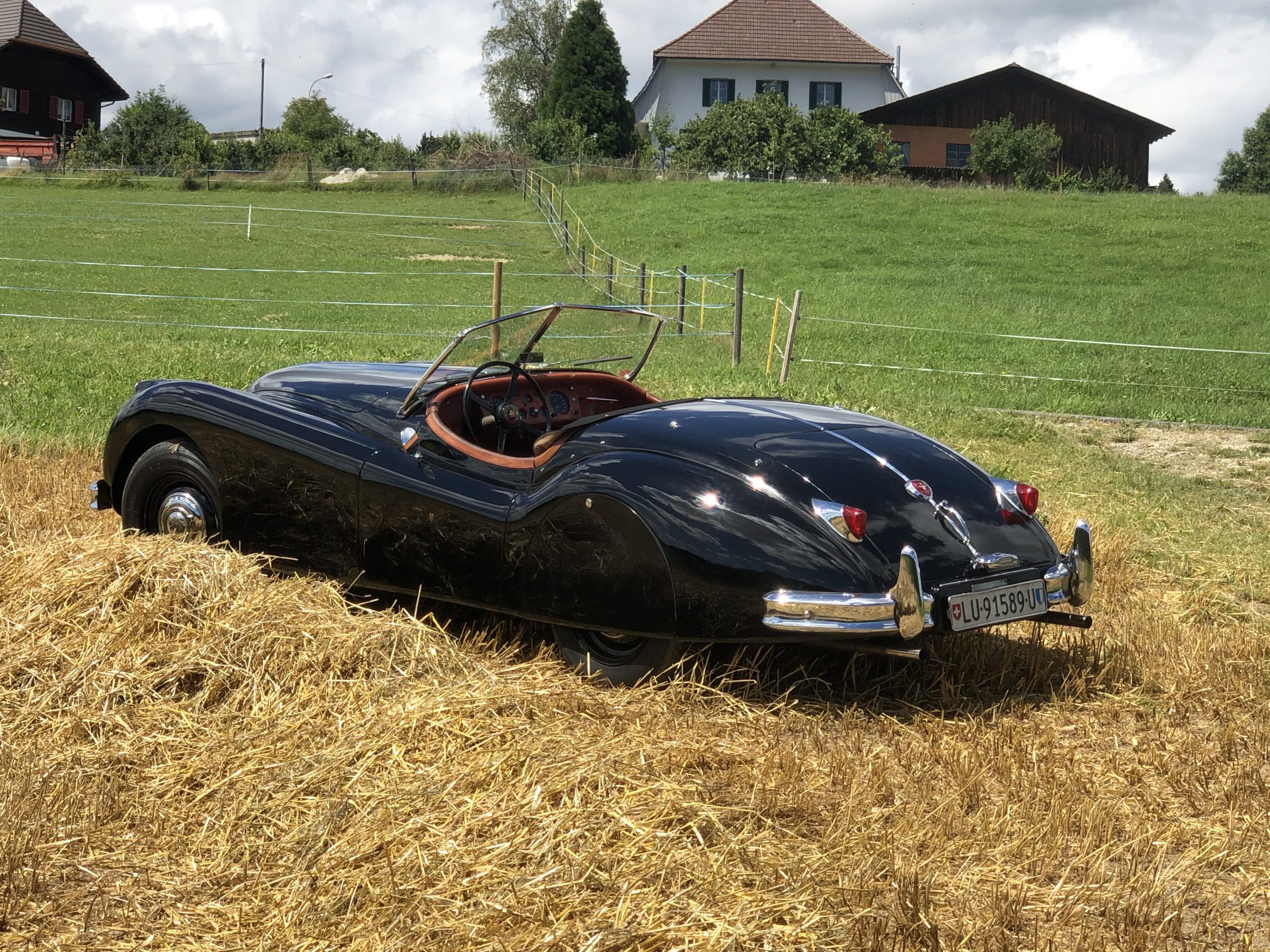 XK140 OTS,1955 – Bild 3