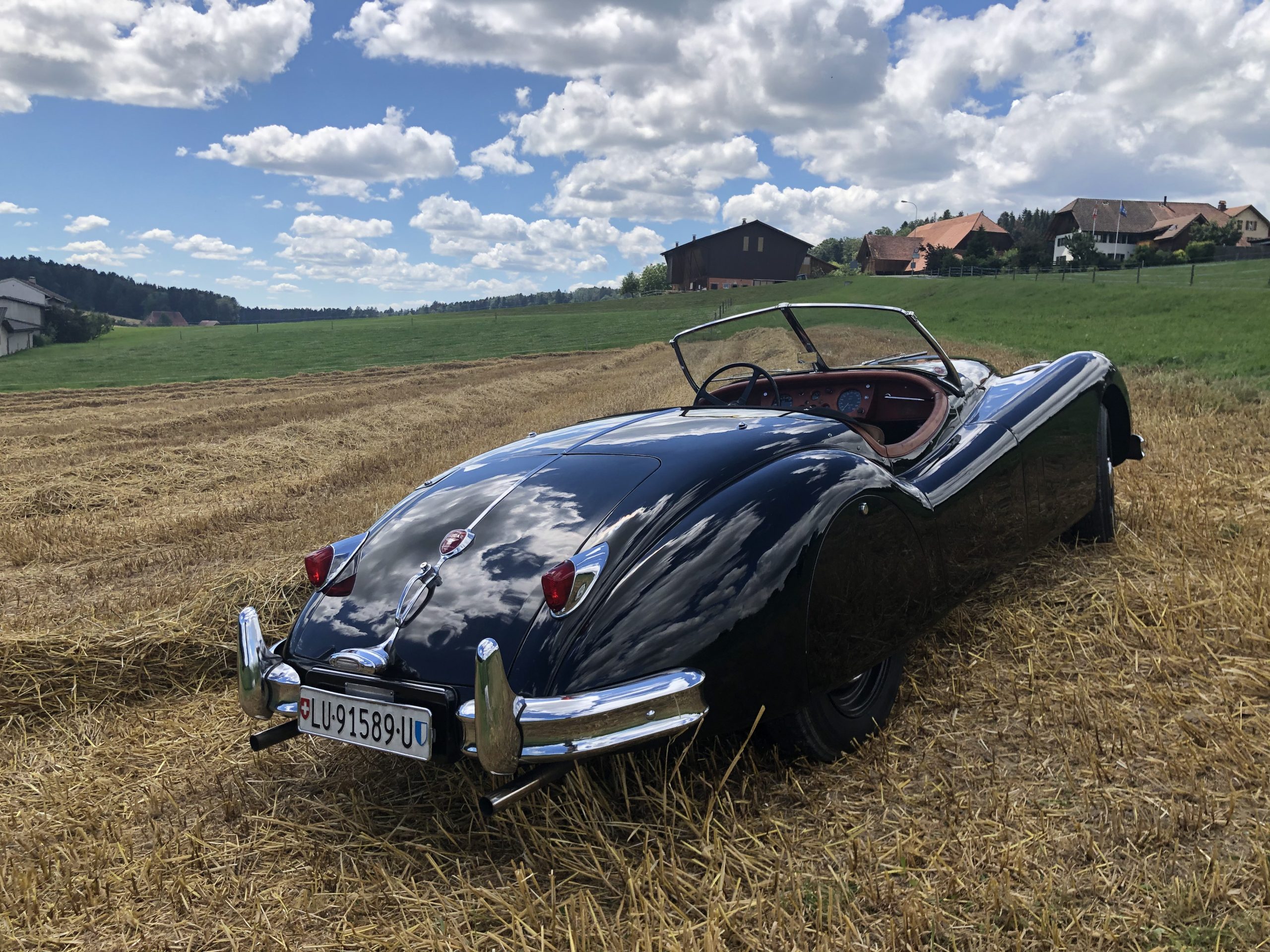 XK140 OTS,1955 – Bild 2