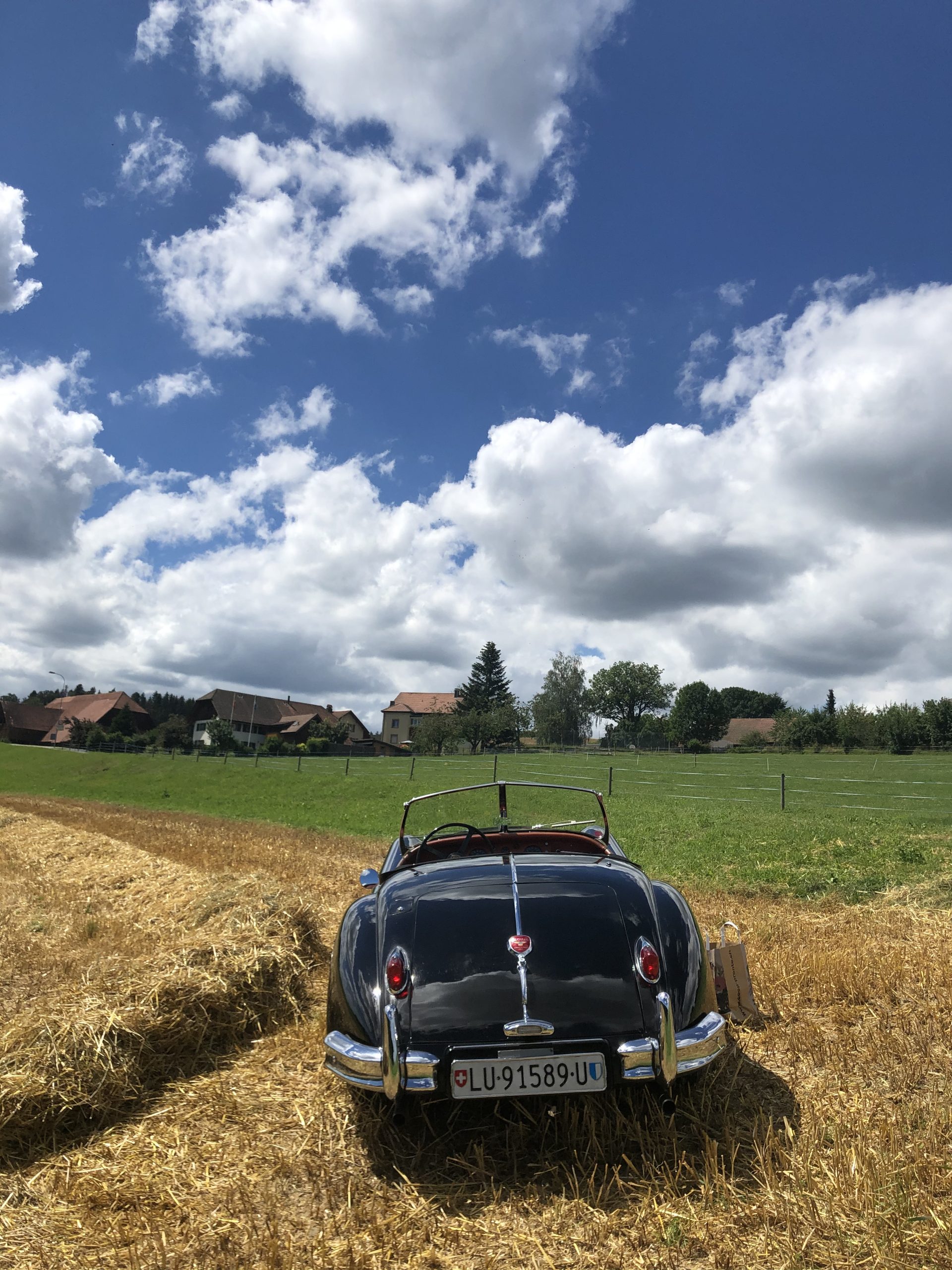 XK140 OTS,1955 – Bild 4